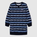 Dulwich Degraded Stripes Mini Dress Pepe Jeans L20F2F1391 Girl