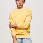 Shine Round Collar Cotton Jersey Pepe Jeans L20F2F862 Men