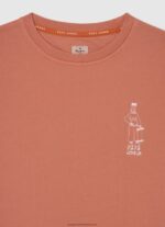 Squash Orange Skater Cotton Jumper Pepe Jeans L20F2F1584 Boy - Image 3